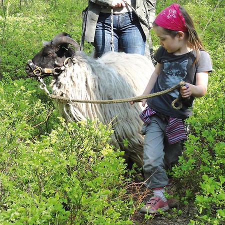 Biohotel Spoektal Bispingen Dış mekan fotoğraf